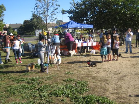 halloween 2010 042